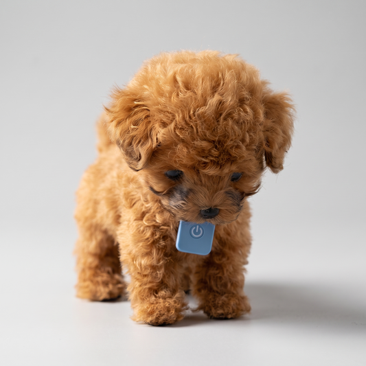 Cachorro Robot Realista™ — Camina, Ladra y Pide Mimos VIP