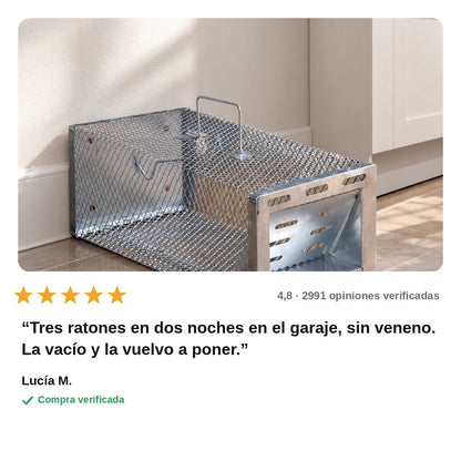 avis — Trampa Multicaptura para Ratones – Jaula de Metal Galvanizado, Reutilizable y sin Veneno