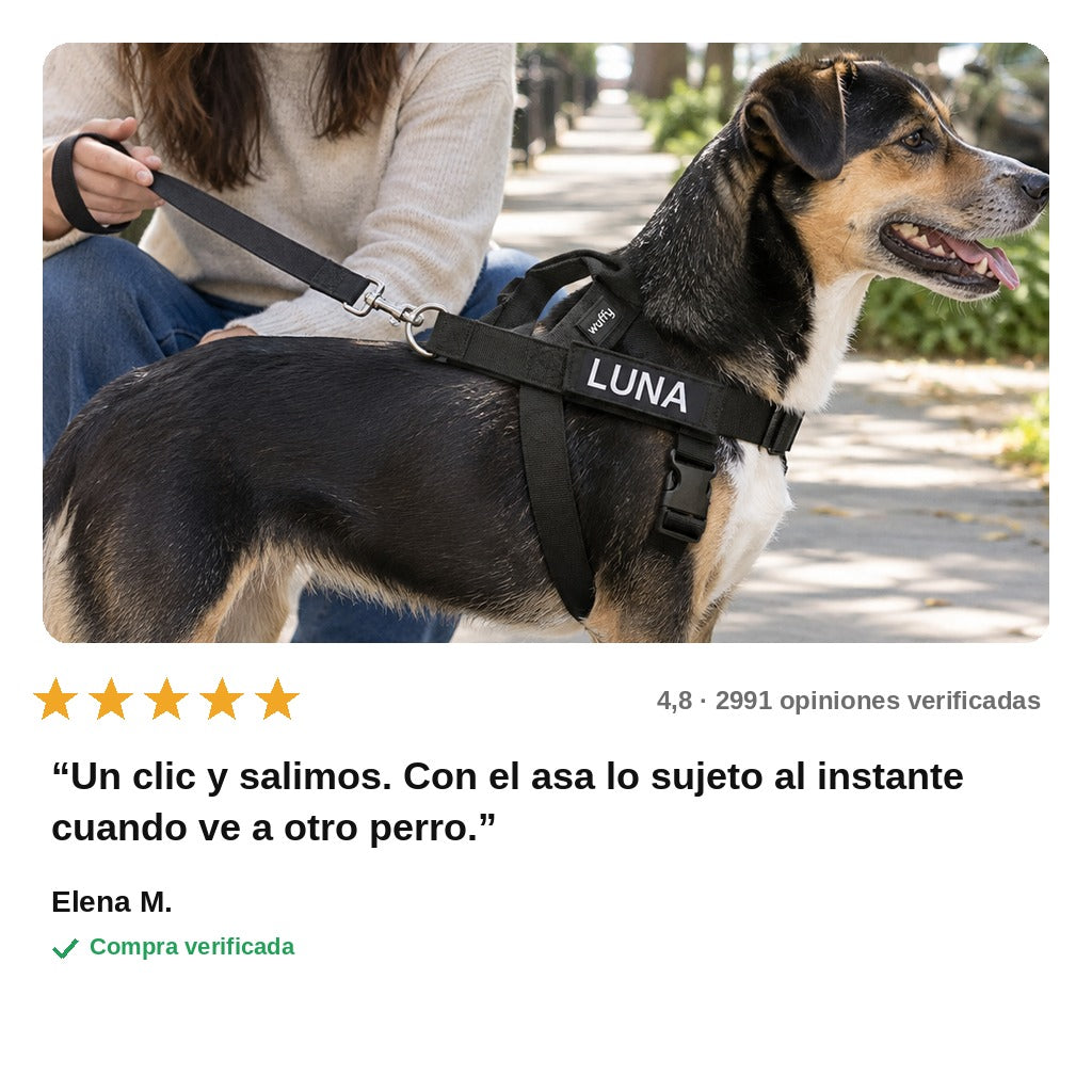 avis — Arnés Antitirones Personalizado — Se pone en 2 segundos