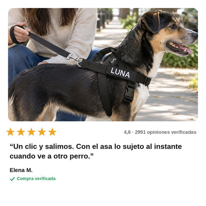 avis — Arnés Antitirones Personalizado — Se pone en 2 segundos