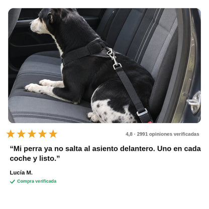 avis — Cinturón de Seguridad para Perro – Correa de Coche con Mosquetón Giratorio