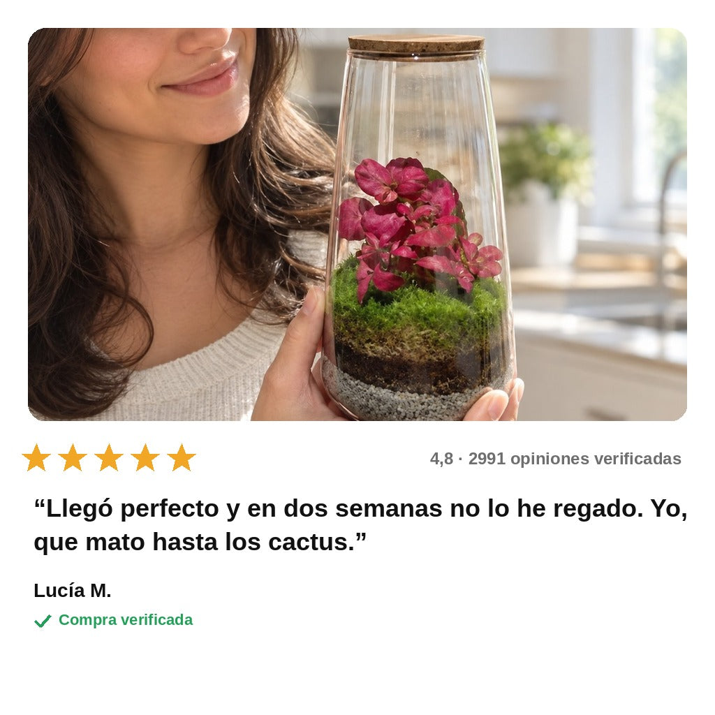 avis — Terrario Cerrado con Musgo — Jardín Eterno en Frasco de Vidrio