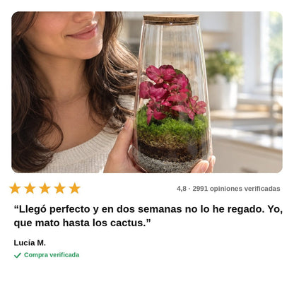 avis — Terrario Cerrado con Musgo — Jardín Eterno en Frasco de Vidrio