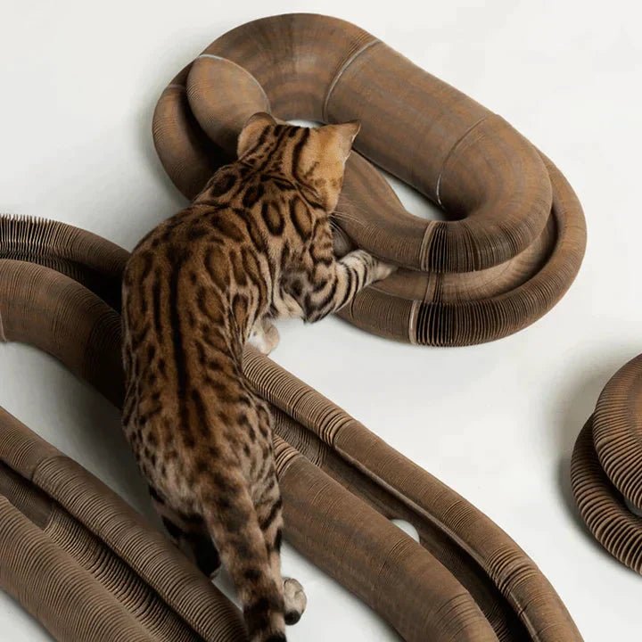 situation — Rascador acordeón para gatos con pelota