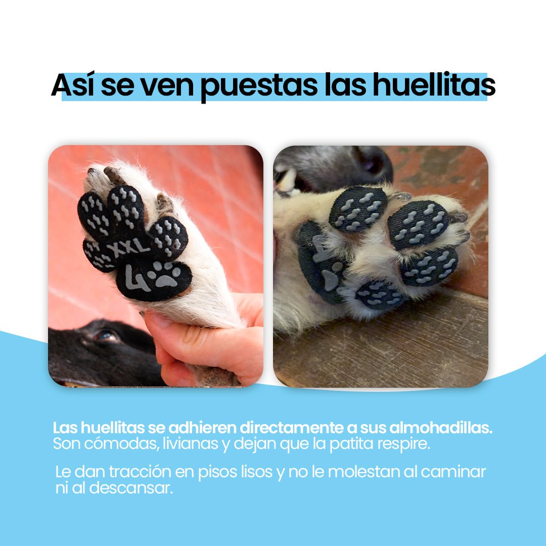 huellafirme-huellitas-antideslizantes-para-patas-d-760-section1