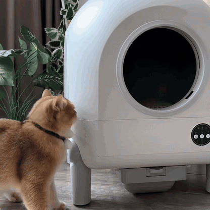 CleanSphere Pro — Arenero Automático Inteligente para Gatos VIP