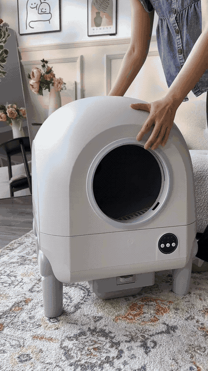 CleanSphere Pro — Arenero Automático Inteligente para Gatos