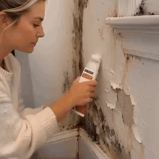 pintura-de-retoque-para-pared-con-rodillo-integrad-3064-gifsec
