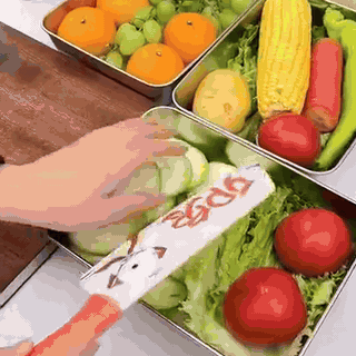 bandeja-de-acero-inoxidable-304-con-tapa-transpare-2244-gifsec
