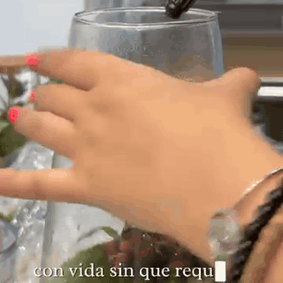 terrario-cerrado-con-musgo-jard-n-eterno-en-frasco-1685-gifsec