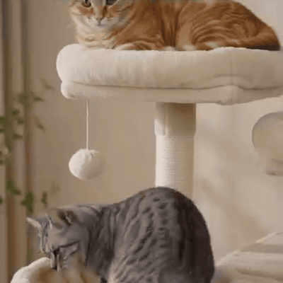 rbol-para-gatos-con-hamaca-cueva-y-postes-rascado-2141-gifsec