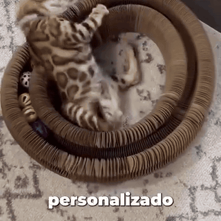 rascador-acorde-n-para-gatos-con-pelota-3347-gifsec