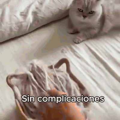 manopla-quitapelos-para-mascotas-reutilizable-se-l-2001-gifsec