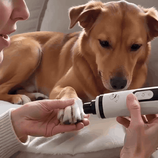 lima-de-u-as-el-ctrica-silenciosa-para-perros-2784-gifsec