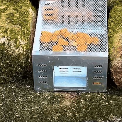 gif — Trampa Multicaptura para Ratones – Jaula de Metal Galvanizado, Reutilizable y sin Veneno
