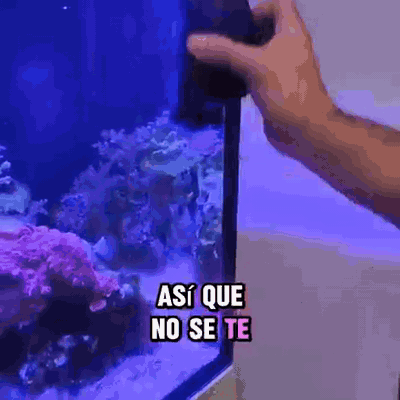 gif — Limpiacristales Magnético para Acuario