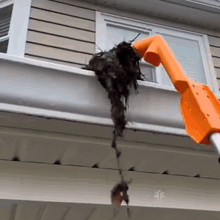 gif — Limpiador de canalones extensible con cabezal de ángulo ajustable