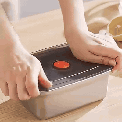 gif — Recipiente hermético de acero inoxidable 316 con válvula