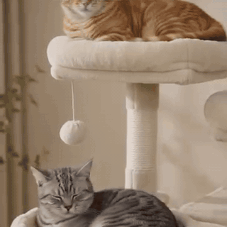 gif — Árbol para gatos con hamaca, cueva y postes rascadores de sisal