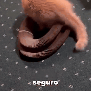 gif — Rascador acordeón para gatos con pelota