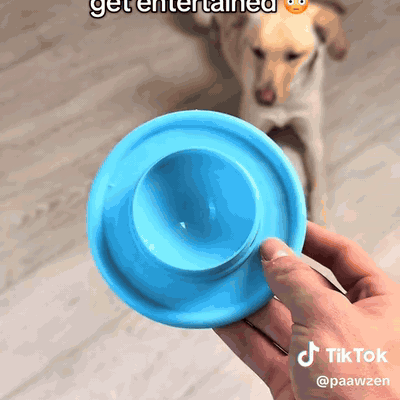 gif — Cuenco Lamedor Anti-Glotón con Bola Giratoria para Perros y Gatos
