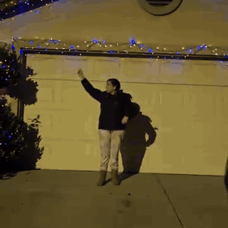 gif — Guirnalda de Luces LED Navideñas con Mando de Efectos
