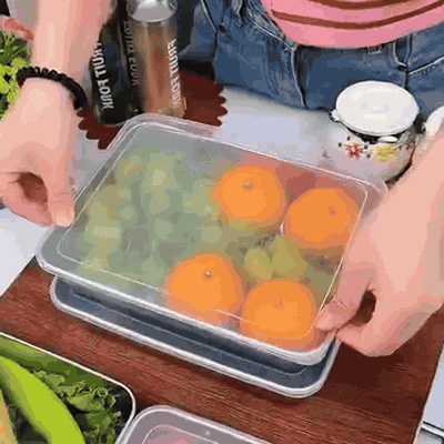 gif — Bandeja de Acero Inoxidable 304 con Tapa Transparente (25 × 20 × 6 cm)