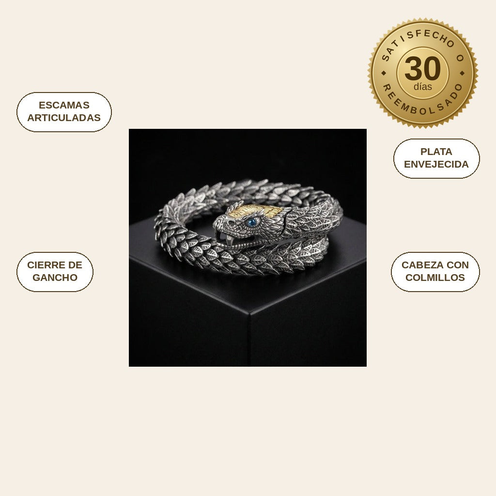 infographie — Pulsera Jörmungandr – La Serpiente del Mundo en Acero Inoxidable
