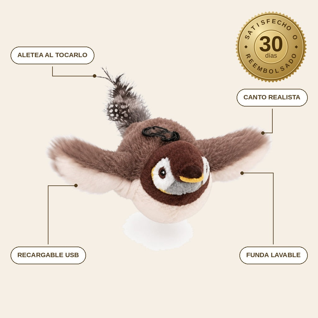 infographie — Pájaro Interactivo para Gatos – Aletea y Pía al Tocarlo
