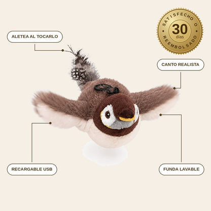 infographie — Pájaro Interactivo para Gatos – Aletea y Pía al Tocarlo