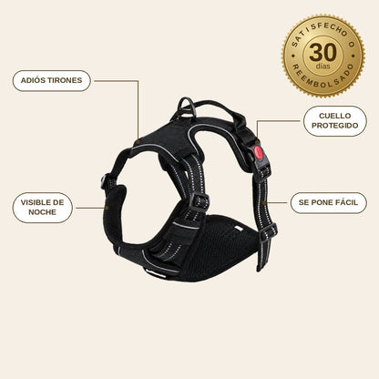 infographie — PaseoFirme™ Arnés Antitirones para Perro – Reflectante con Asa de Control
