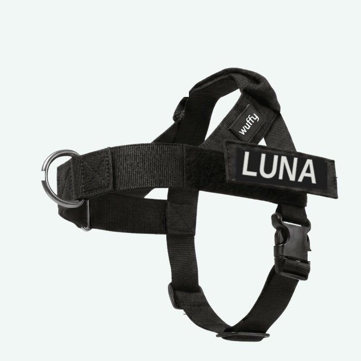 arn-s-antitirones-personalizado-se-pone-en-2-segun-2278-section-1