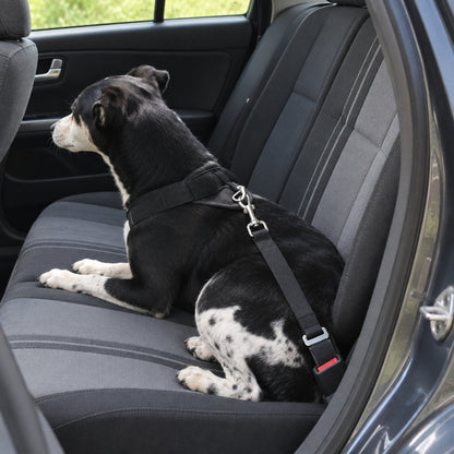 situation — Cinturón de Seguridad para Perro – Correa de Coche con Mosquetón Giratorio