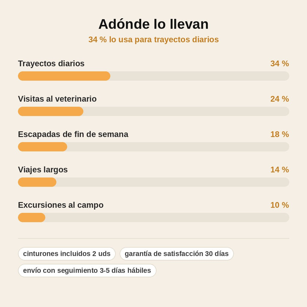 stats — Cinturón de Seguridad para Perro – Correa de Coche con Mosquetón Giratorio