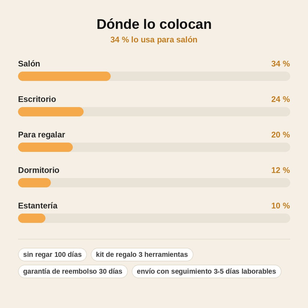 stats — Terrario Cerrado con Musgo — Jardín Eterno en Frasco de Vidrio