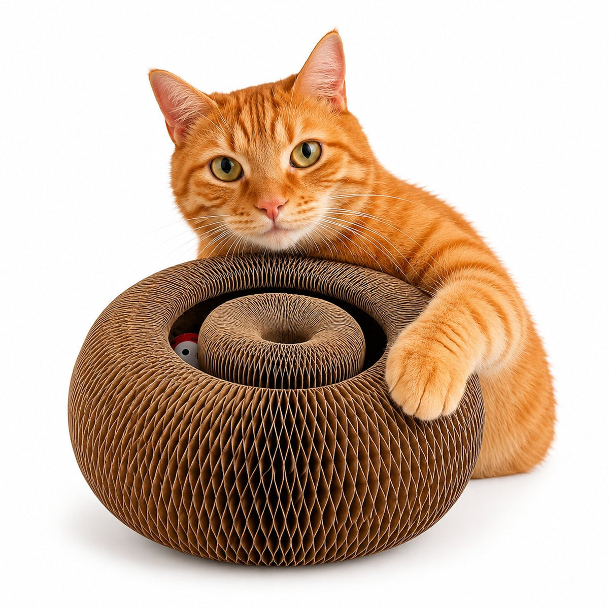 packshot — Rascador acordeón para gatos con pelota